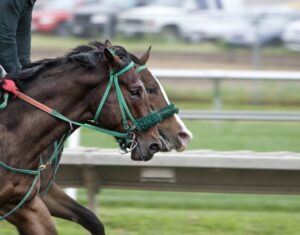 Horse Racing